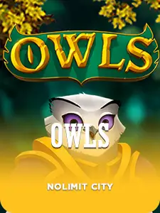 Owls