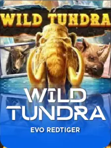 Wild Tundra