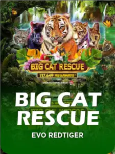 Big Cat Rescue Megaways