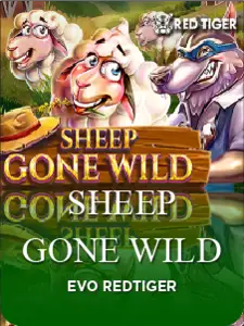 Sheep Gone Wild