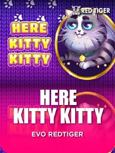 Here Kitty Kitty