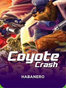 SGCoyoteCrash