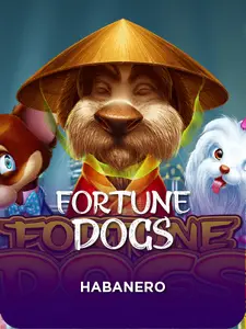 SGFortuneDogs