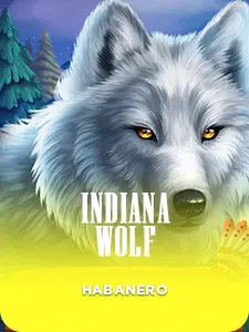 SGIndianaWolf