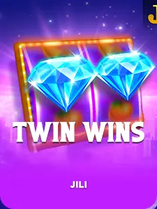 TWIN WINS
