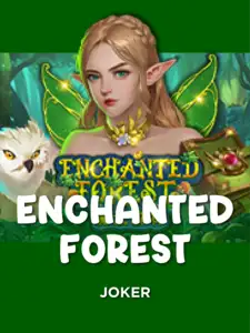 Enchanted Forest