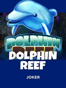 Dolphin Reef