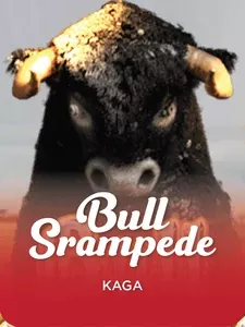 Bull Stampede