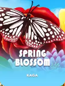Spring Blossom