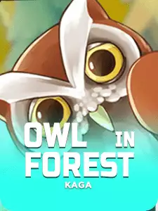Owl In Forest