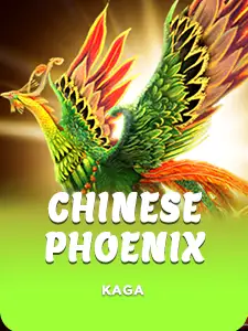 Chinese Phoenix