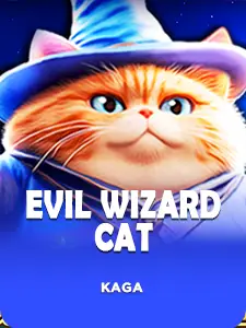 Evil Wizard Cat