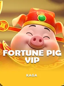 Fortune Pig VIP