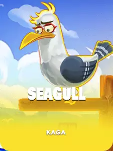 Seagull