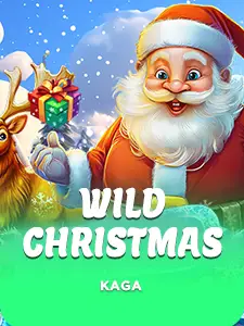 Wild Christmas