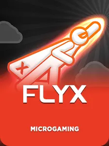 FlyX