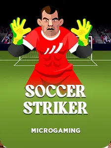 Soccer Striker