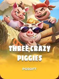 Three Crazy Piggies
