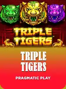 Triple Tigers
