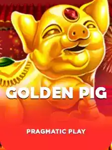 Golden Pig