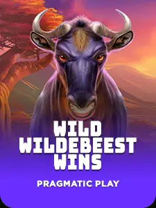 Wild Wildebeest Wins