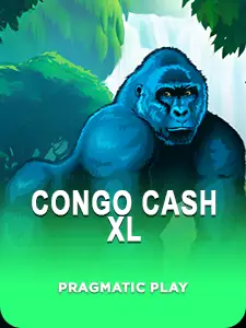 Congo Cash XL
