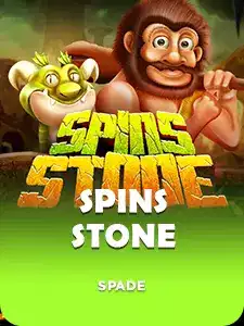 Spins Stone